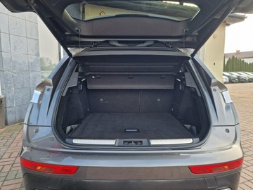 DS 7 Crossback E-TENSE 300KM 2020 DS Automobiles DS 7 Crossback E-tense 4x4 Rivioli, zdjęcie 23