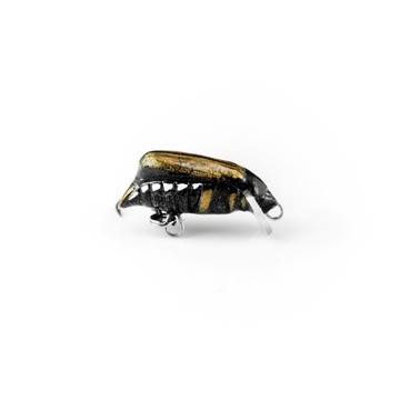 Imago Lures Maybug 2.5F Dive