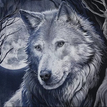 Мужская футболка Wolf Wolf HD размер XXL