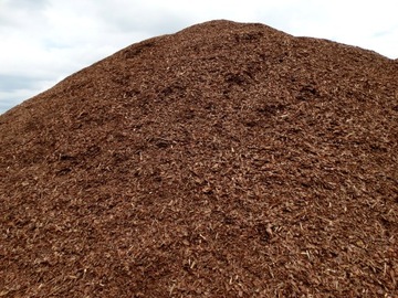 Kora Sosnowa Ogrodowa Sortowana Średnia LUZ