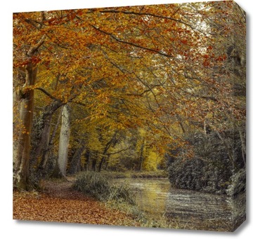 Obraz 50x50cm Ścieżka przy kanale, Assaf Frank