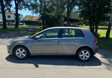 Volkswagen Golf VII Hatchback 3d 1.6 TDI-CR DPF 105KM 2013 Volkswagen Golf 1.6 Diesel 105KM, zdjęcie 7