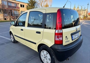 Fiat Panda II Hatchback 5d 1.1 MPI 54KM 2010 Fiat Panda Fiat Panda 1.1 Active, zdjęcie 4