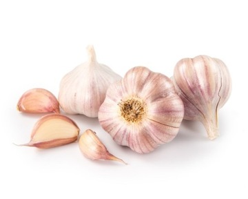 EQUIHERBS Zioła dla koni - CZOSNEK PŁATKOWANY 1 kg
