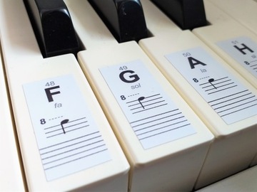 NAKLEJKI NUTY NA KLAWISZE KEYBOARD PIANINO ORGANY