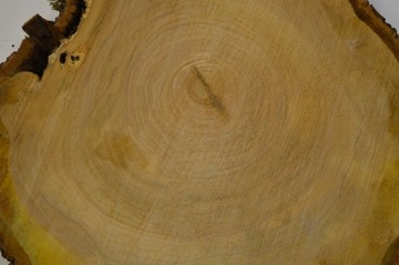 Долька вишни 47x47 см, толщина 5 см, дерево для стола