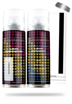 LAKIER SAMOCHODOWY CITROEN EZR EZRC w SPRAYU SPRAY + BEZBARWNY 200ml