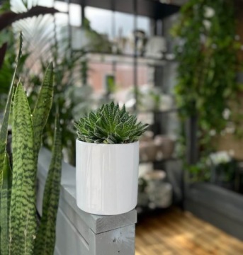 ЦВЕТОЧНЫЙ ГОРШОК КЕРАМИЧЕСКАЯ КРЫШКА БЕЛЫЙ ЦИЛИНДР КЕРАМИЧЕСКАЯ КРЫШКА ПОДАРОК ​​8 СМ