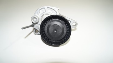 Комплект ремня 1.6dci Megane Trafic III 117205040R