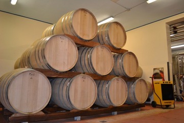 OSUSZACZ POWIETRZA MASTER DH 44