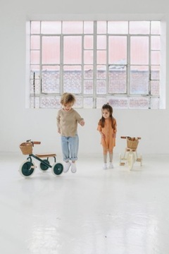 Banwood Trike Темно-Зеленый