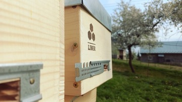 Пчеломатки Краинка Каролинка, пчелиная мать