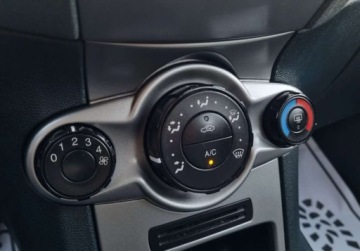 Ford Fiesta VII Hatchback 5d 1.4 Duratorq TDCi 68KM 2010 Ford Fiesta MK7 Zadbana 1.4 TDCi Bardzo Oszczedna NIEZAWODNA Oryginal 2010, zdjęcie 10