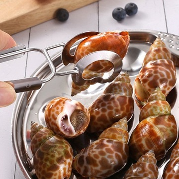 1 SET ESCARGOT ESCARGOT СТОРОНА