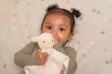 МАЛЕНЬКАЯ ГОЛЛАНДСКАЯ ОВЕЧКА ОДЕЯЛО ДЛЯ ОБНИМАНИЙ МАЛЕНЬКАЯ ФЕРМА