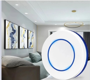 Релейный радиоконтроллер RF433MHz plus Switch