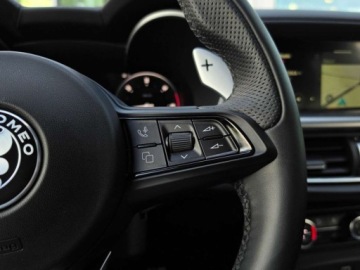 Alfa Romeo Stelvio SUV Facelifting 2023 2.2 JTDM 210KM 2025 Alfa Romeo Stelvio 1 wlasciciel, salon PL, bezwypadkowy, ASO, gwarancja, F, zdjęcie 15