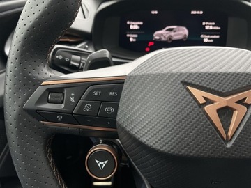 Cupra Terramar 2025 Cupra Terramar 2.0 TSI 204 KM DSG 4Drive/ Advantag, zdjęcie 30