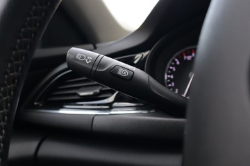 Opel Insignia II Country Tourer 1.6 Turbo 200KM 2019 Opel Insignia 1.6 Turbo, Salon Polska, Serwis ASO, zdjęcie 20