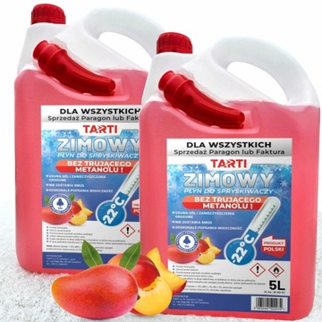 ZIMOWY PŁYN DO SPRYSKIWACZY -22°C ZAPACHOWY 10L DLA WSZYSTKICH PARAGON FV