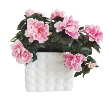 КЕРАМИЧЕСКИЙ ЦВЕТОЧНЫЙ ВАЗ, БЕЛАЯ ЦВЕТОЧНАЯ КРЫШКА, 15 СМ