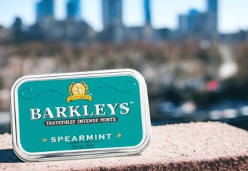 Конфеты Barkleys Spearmint 50г из США, с мятными капельками