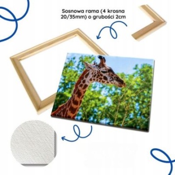 Роспись по холсту Музыкальные наушники двухцветная 50x40