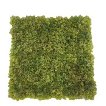 Dollcini, puszysty dywanik, dywan dziecięcy, miękki, 5 szt., 30 x 30 cm, zielony