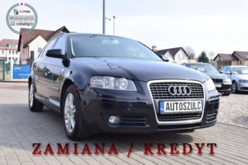 Audi A3 8P Hatchback 3d 1.9 TDI 105KM 2007