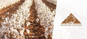 Полотенце dwoltex peru египетский хлопок 70x140 пляжная ванна