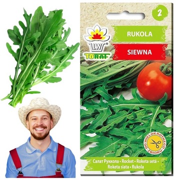 RUKOLA DZIKA WIELOLETNIA NASIONA RUKOLI SAŁATY WARZYW PIKANTNA 1G