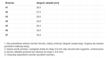 Obuwie robocze gumowce Demar 0260 rozmiar 46