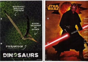 Karteczki do segregatora Derform Star Wars 07 + Dinosaurs 05