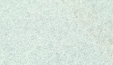 KRĄŻEK ŚCIERNY NA RZEP 150 MM 6 OTWORÓW P80 x5