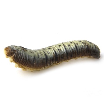 Маленькая игрушка-фигурка из 12 пластиковых животных