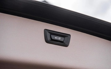 BMW Seria 3 F30-F31-F34 Touring Facelifting 2.0 320i 184KM 2017 BMW Seria 3 2.0i 184KM Ledy Navi Skora Panorama Pdc Full Serwis Aso Gwaran, zdjęcie 30