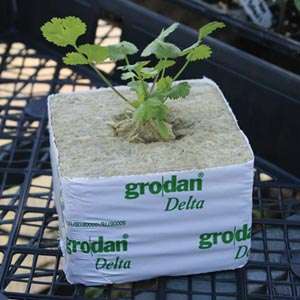 Grodan Delta минеральная вата 10х10х6,5см диаметр 27мм