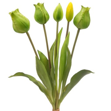 TULIPAN sztuczny TULIPANY silikonowe BUKIET 5 szt