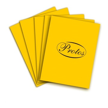 Papier ksero A3/160g 20ark. kolor PROTOS