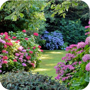 Универсальные удобрения Азофоски 10 кг гранул для сада обильных урожаев пышная трава