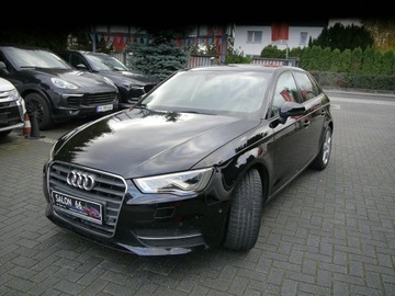 Audi A3 8V Hatchback 3d 2.0 TDI clean diesel 150KM 2016 Audi A3 Sportback 2.0dL bezwypadkowy Gwarancja, zdjęcie 11