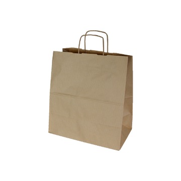 TORBY PAPIEROWE EKO 305x170x340 30X17X34 TORBA