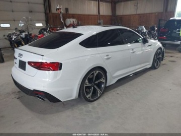 Audi A5 B10 2024 Audi RS5 Coupe Rs5 sportback 2.9 Benzyna 444KM, zdjęcie 3