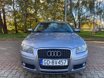 Audi A3 8P Hatchback 3d 1.6 102KM 2007 Audi A3 Attraction 1.6 Benzyna, zdjęcie 1