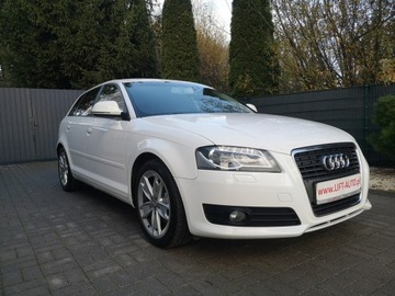 Audi A3 8P Hatchback 3d 2.0 TDI CR 140KM 2009 Audi A3 2.0 TDI 140KM # Klimatr # Ledy # Bi-XENON, zdjęcie 2