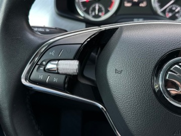 Skoda Kodiaq I SUV Facelifting 1.5 TSI 150KM 2022 Skoda Kodiaq 1.5TSI 150KM Ambition DSG l Hak, Grza, zdjęcie 19