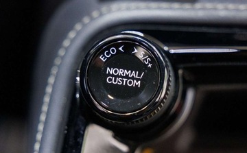 Lexus NX II 2024 Lexus NX 350h F Sport AWD 2.5 Benzyna 234KM, zdjęcie 28