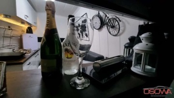 Renault Trafic II Kabina 2.0 dCi 115KM 2009 Renault Trafic Kamper 2.0dci klima kuchenka zlew lozko WC tv przetwornica, zdjęcie 36