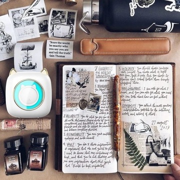 ТЕРМОПРИНТЕР DRUKUS MINI CAT