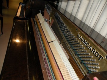 = Суперпианино Baumgard 120 см